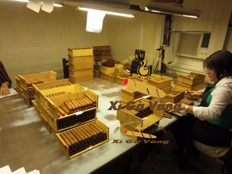 Nhà máy sản xuất xì gà Siglo 4